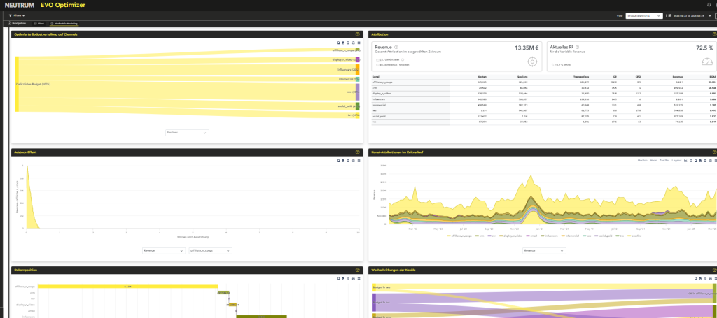 Marketing Goals and Budget Allocation