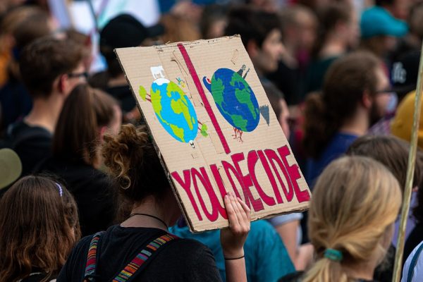 NGO identifiziert Medien, Influencer und Zeiten für mehr Impact