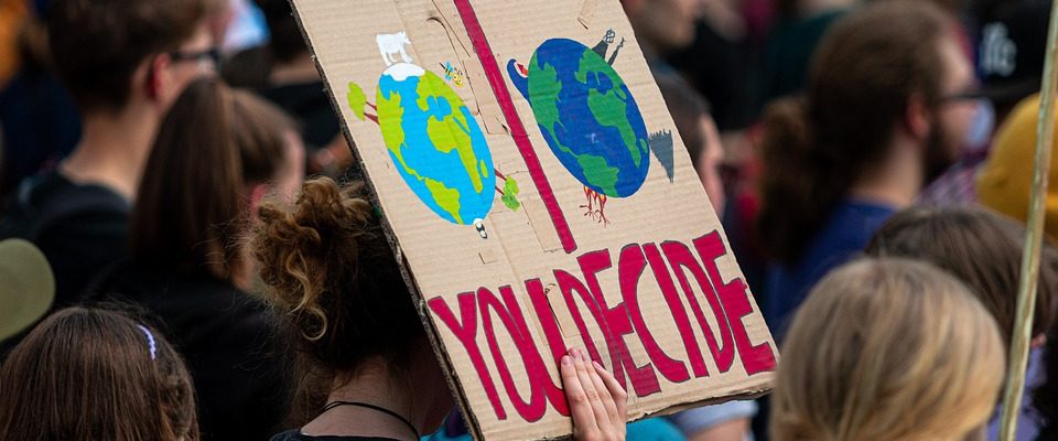 NGO identifiziert Medien, Influencer und Zeiten für mehr Impact